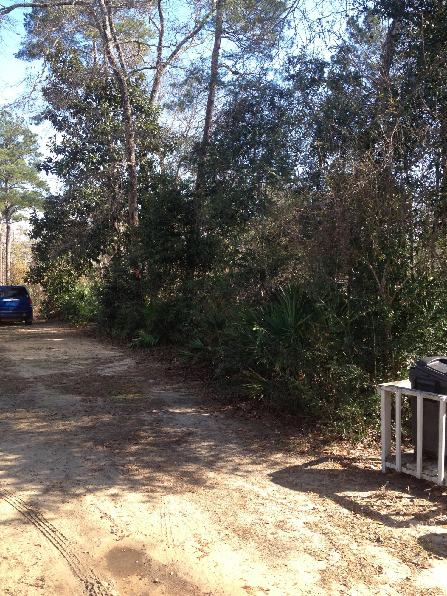 N/a Stillwater Road Freeport, FL 32439 - Photo 3 of 4 Gallery Image 3