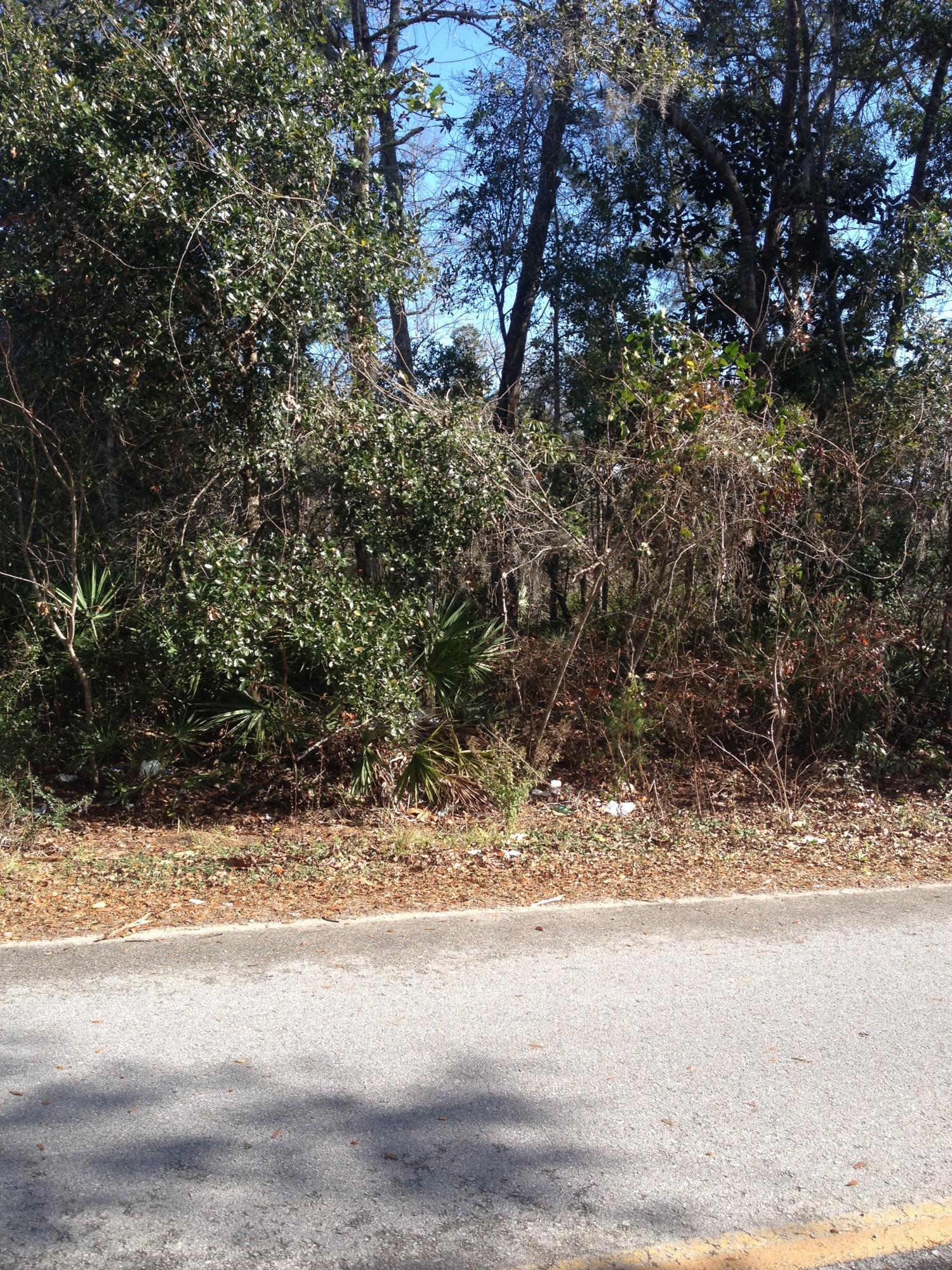 N/a Stillwater Road Freeport, FL 32439 - Photo 4 of 4 Gallery Image 4