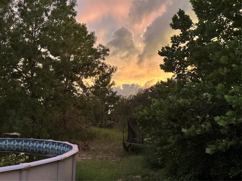 11473 Finch Road Brooksville, FL 34614 - Photo 49 of 93