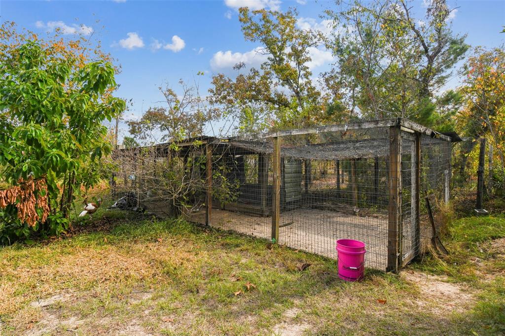 11473 Finch Road Brooksville, FL 34614 - Photo 52 of 93