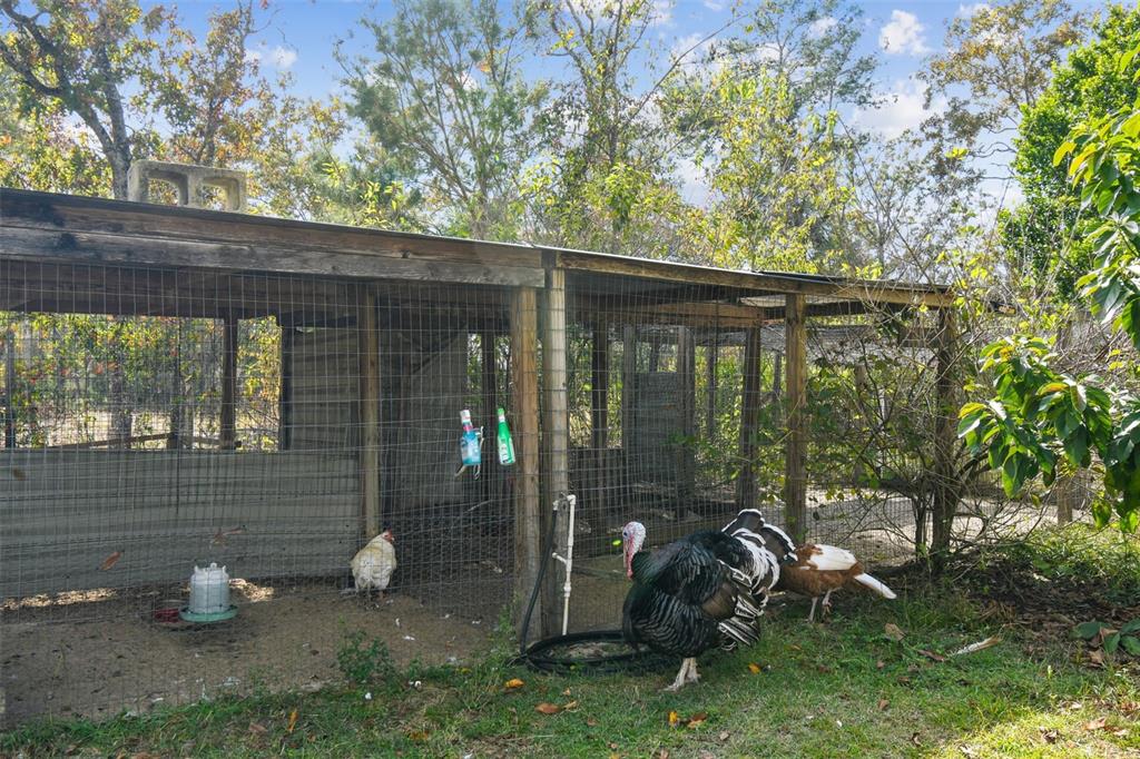 11473 Finch Road Brooksville, FL 34614 - Photo 54 of 93