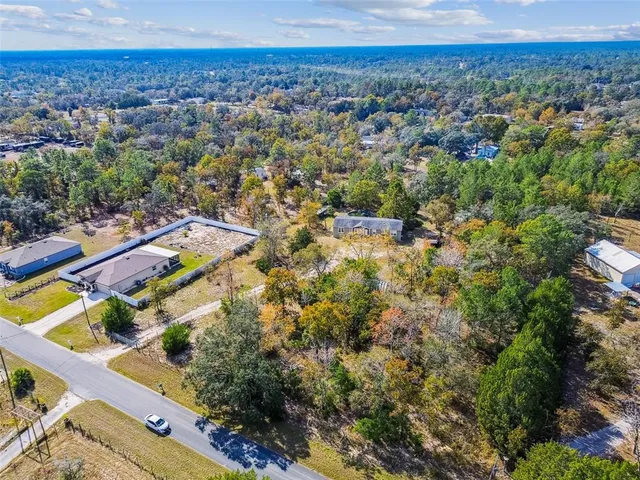 a view of a yard with plants and large trees
