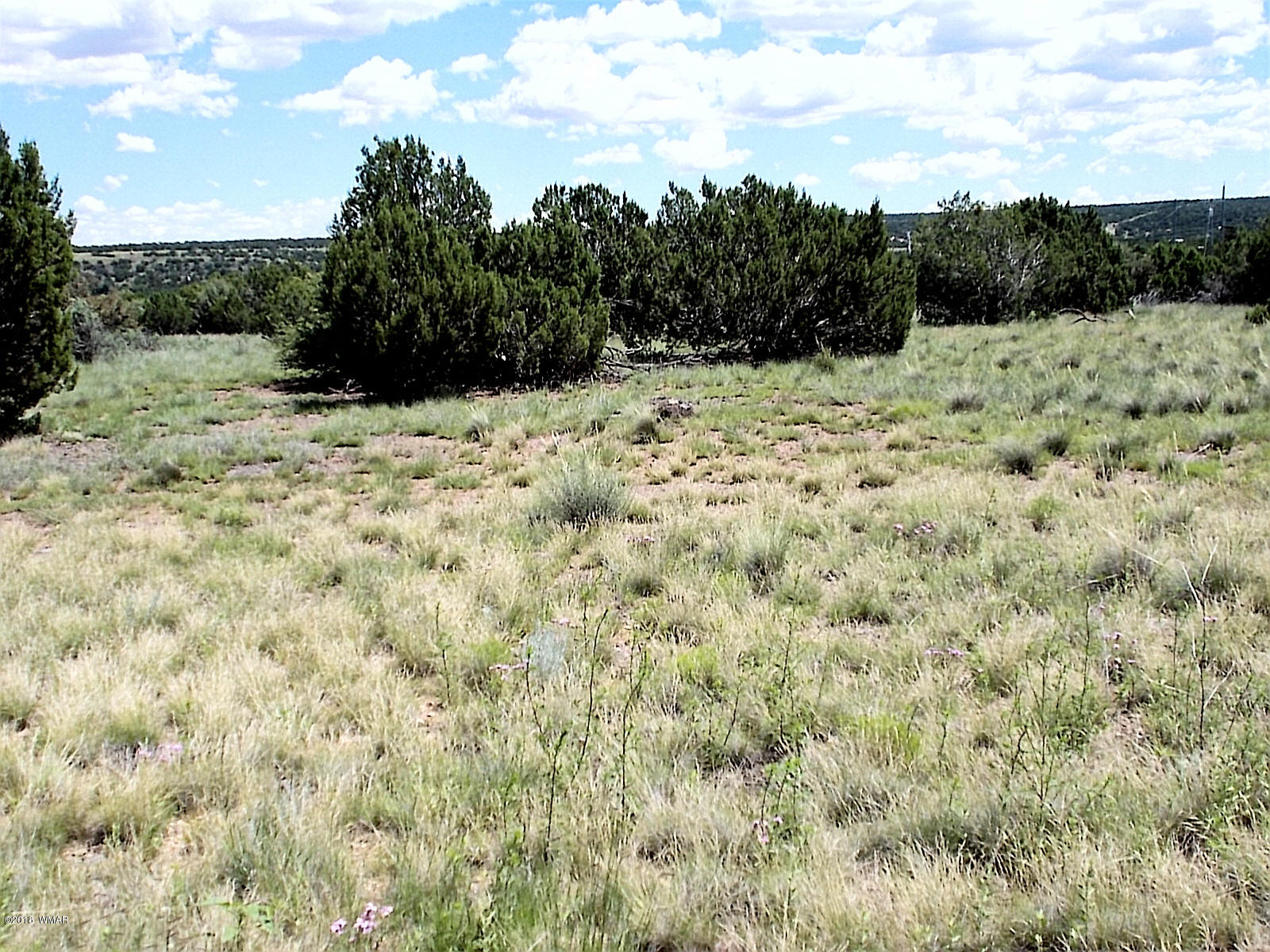 1955 Ridgeway Road Show Low, AZ 85901 - Photo 11 of 13
