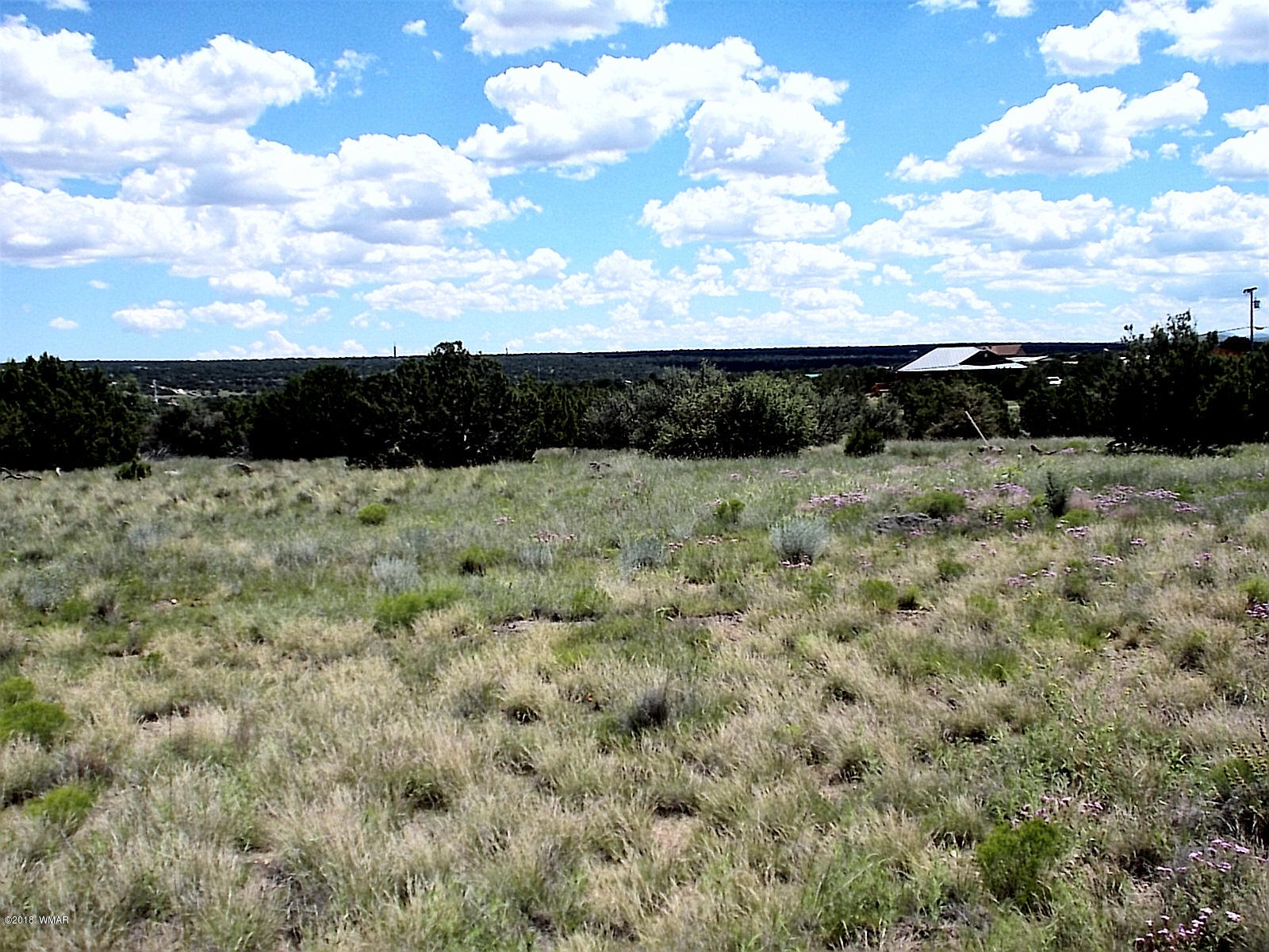 1955 Ridgeway Road Show Low, AZ 85901 - Photo 12 of 13