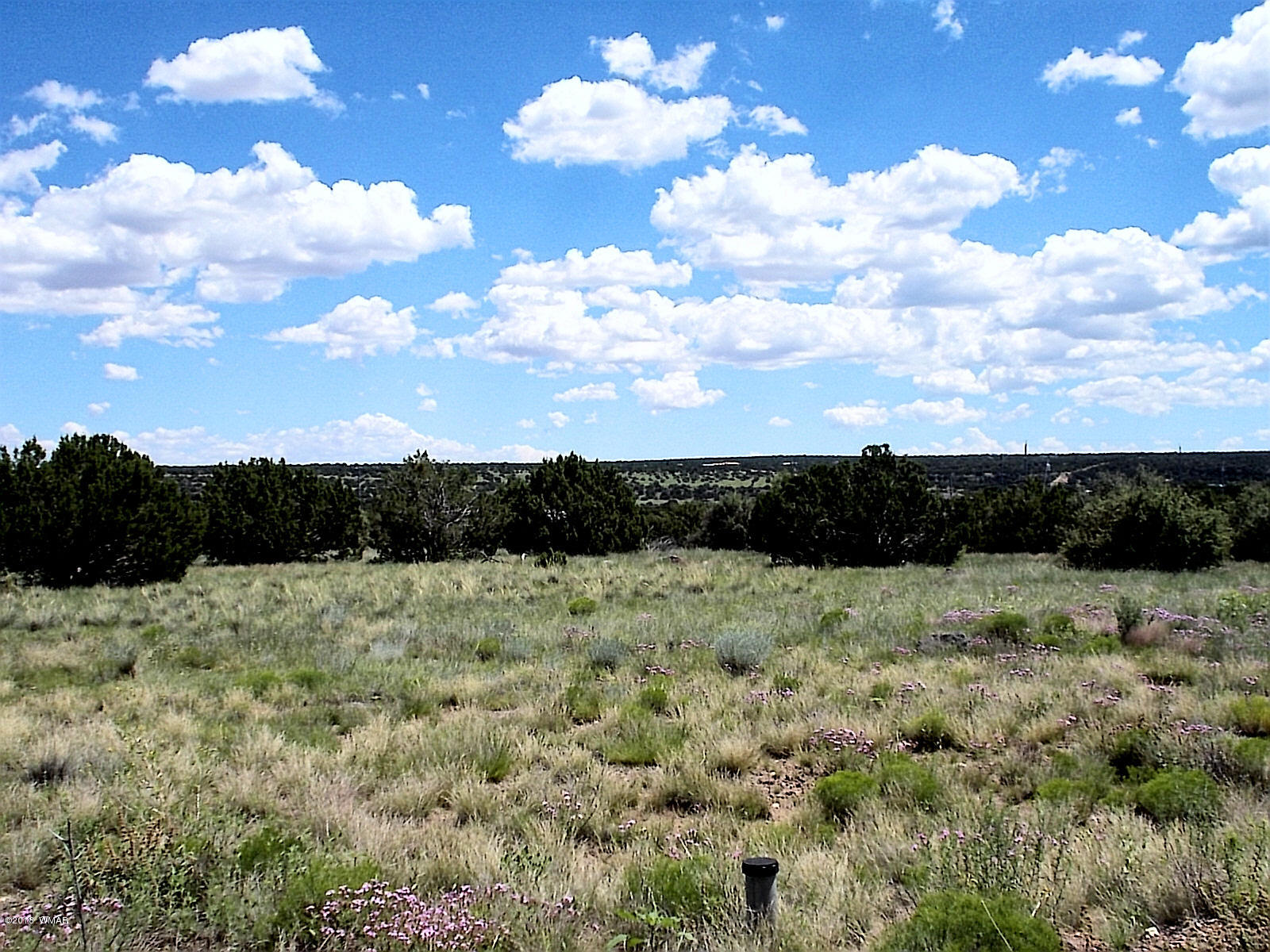 1955 Ridgeway Road Show Low, AZ 85901 - Photo 13 of 13