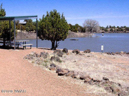 1955 Ridgeway Road Show Low, AZ 85901 - Photo 4 of 13
