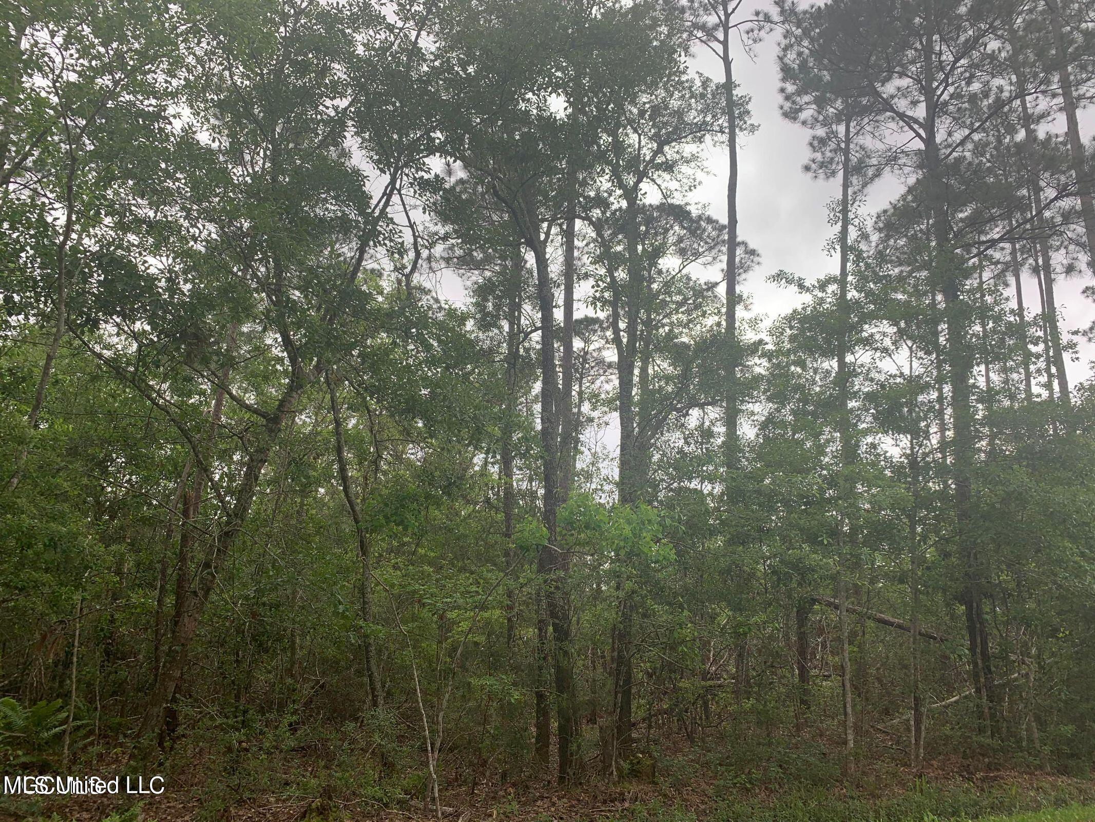 0 Kiln Waveland Cutoff Road Bay St. Louis, MS 39520 - Photo 1 of 4 20210821101449834123000000-o