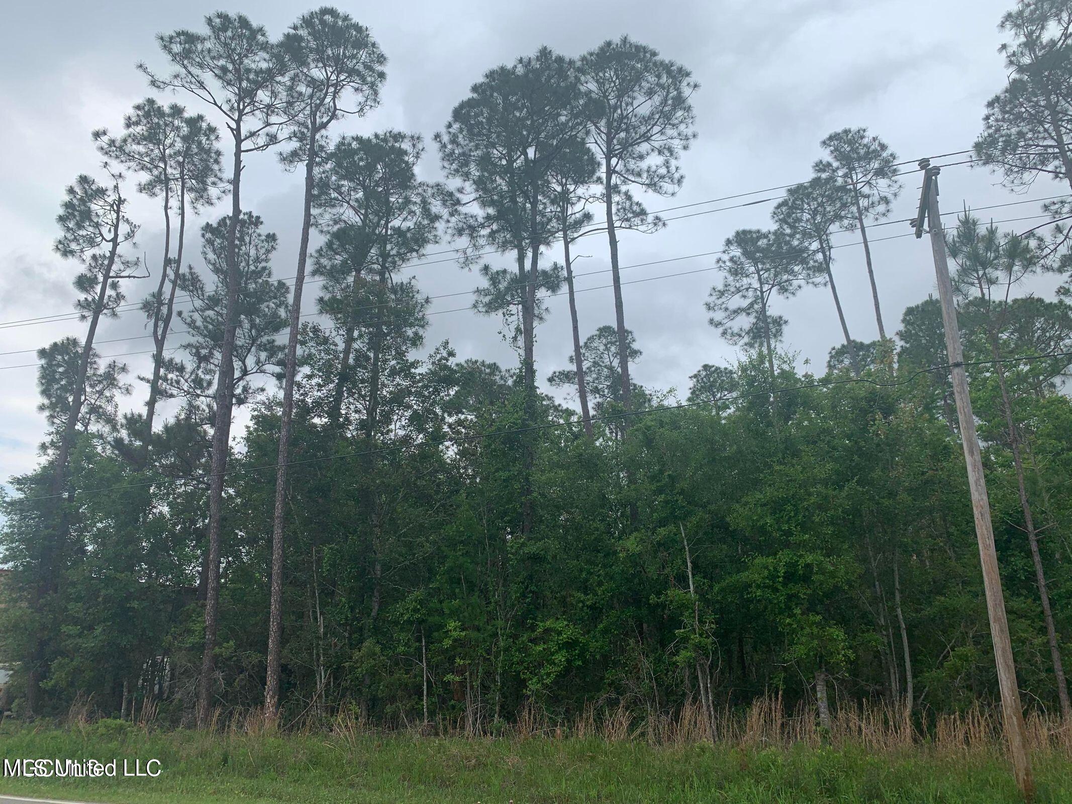 0 Kiln Waveland Cutoff Road Bay St. Louis, MS 39520 - Photo 2 of 4 20210821101421387407000000-o