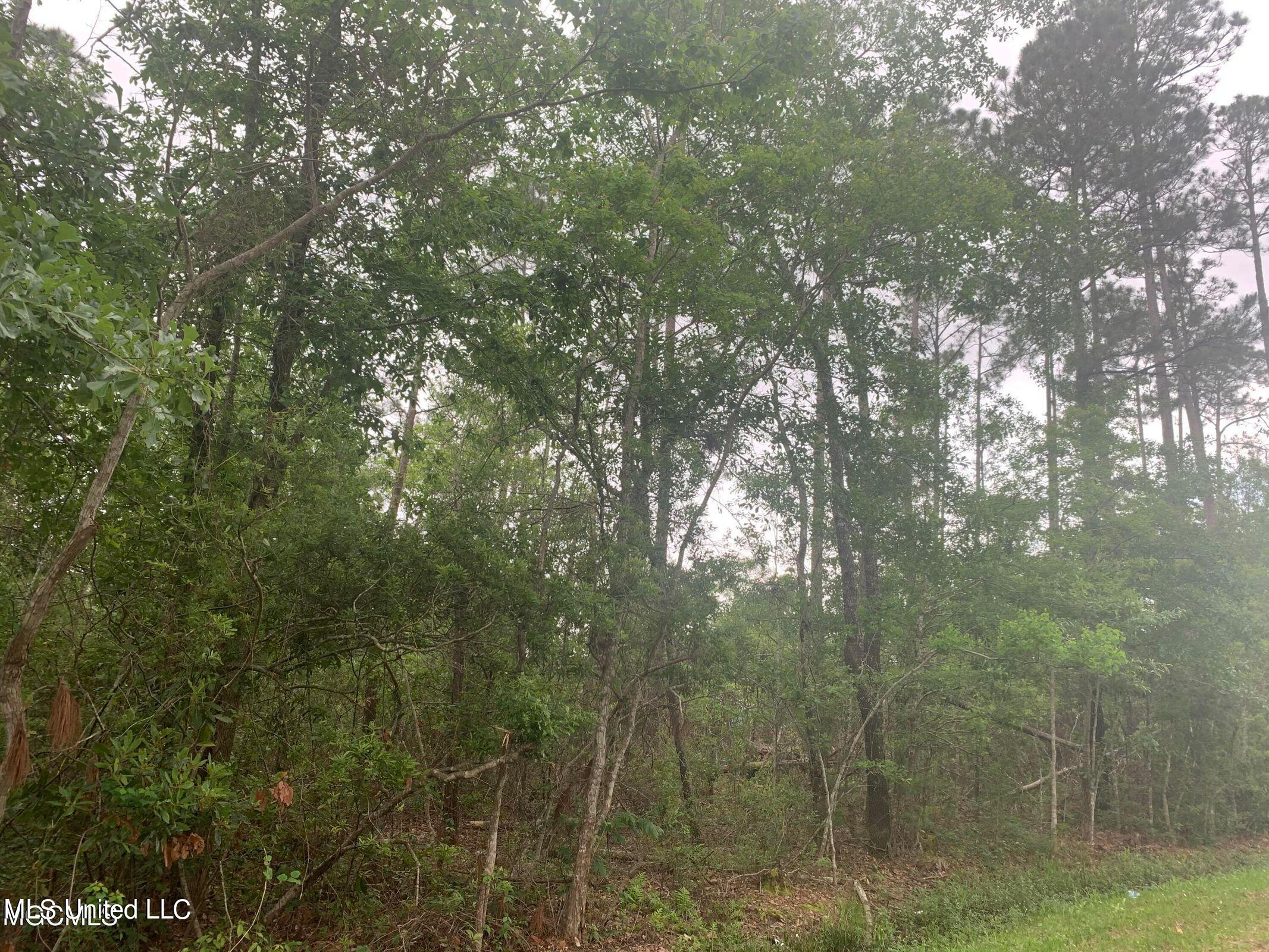 0 Kiln Waveland Cutoff Road Bay St. Louis, MS 39520 - Photo 3 of 4 20210821101503707228000000-o