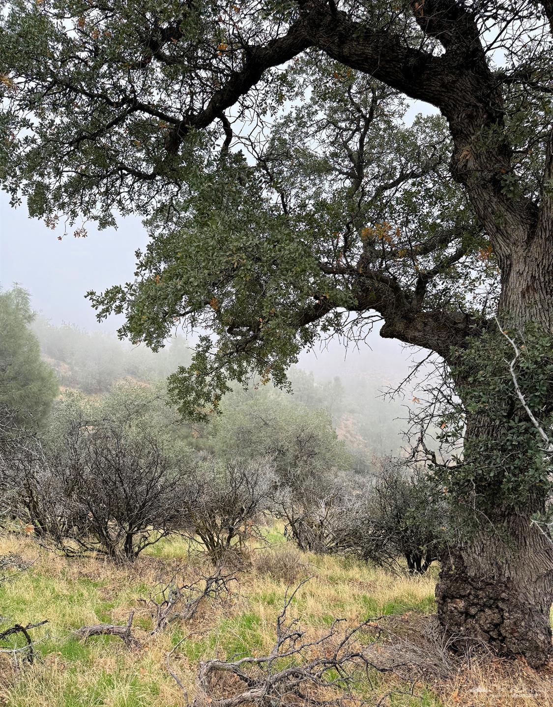 0 High Ridge Road Caliente, CA 00000 - Photo 4 of 7 Gallery Image 4