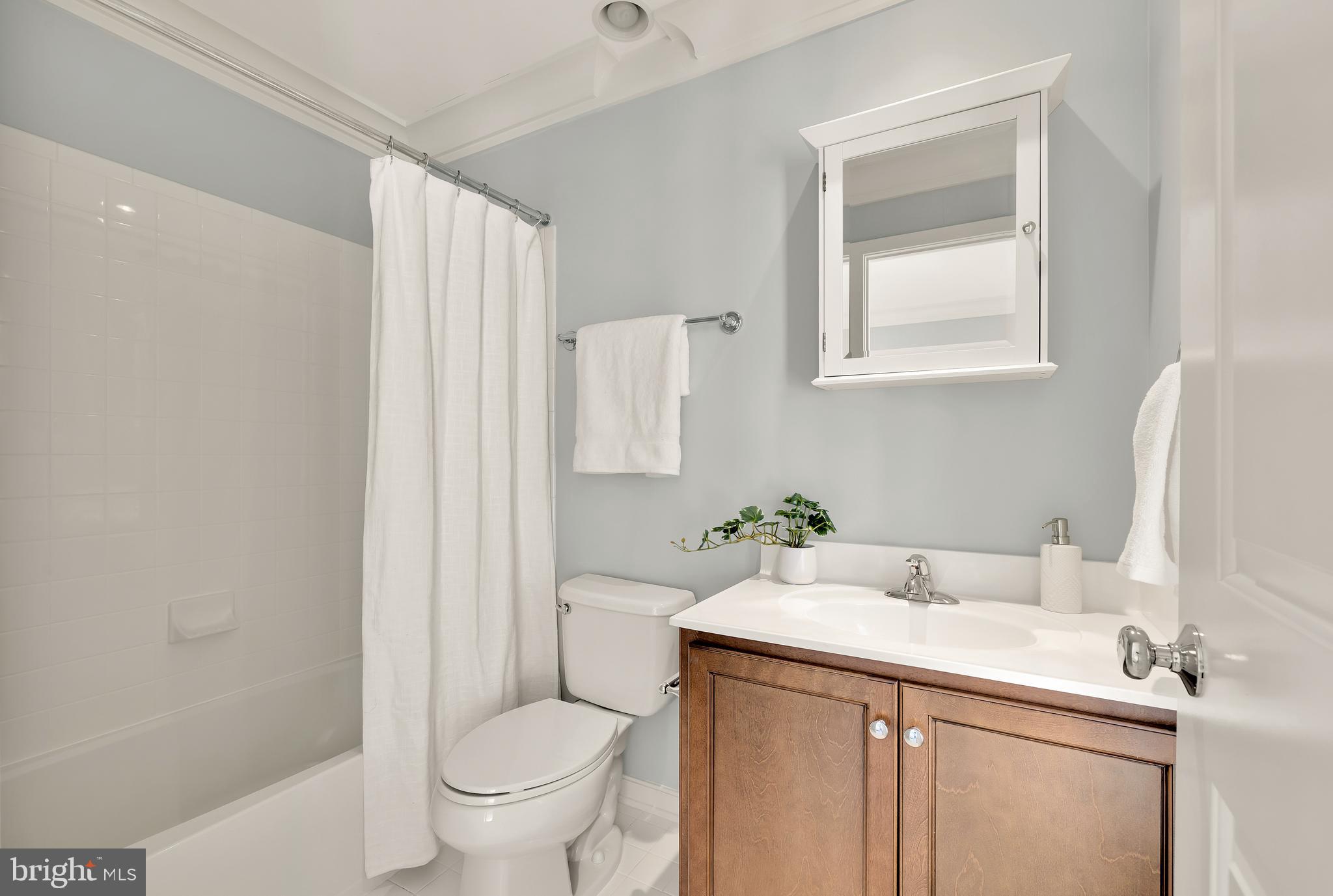908 3rd Place Southeast Washington, DC 20003 - Photo 23 of 26 a bathroom with a sink toilet and a mirror
