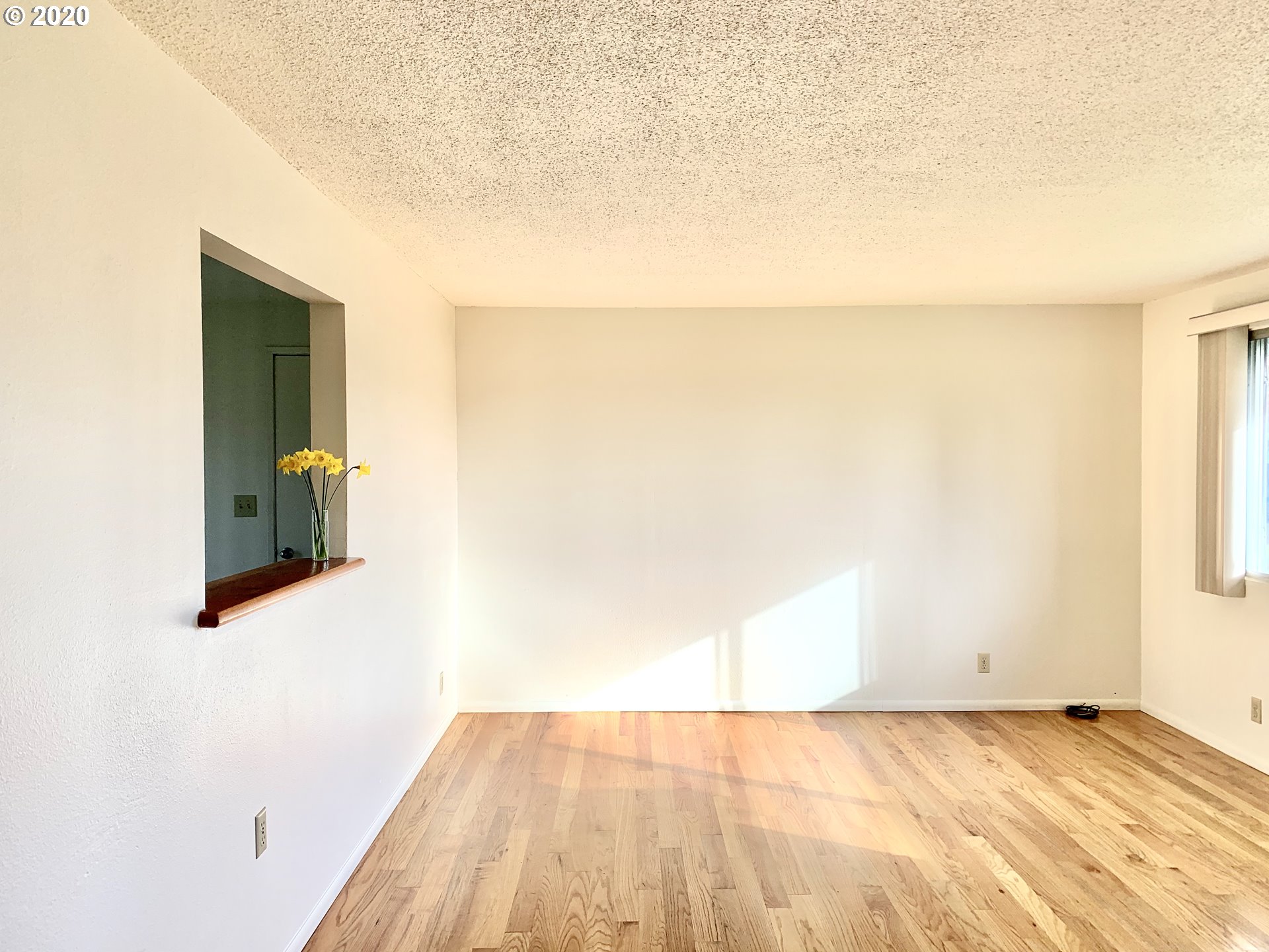 464 South 40th Street Springfield, OR 97478 - Photo 6 of 13