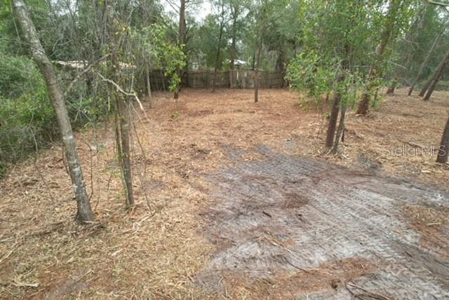 Palm Street Paisley, FL 32767 - Photo 7 of 7 a view of a forest with trees
