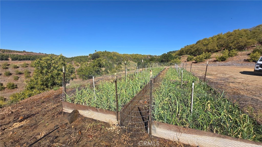 0 Vía Barranca Temecula, CA 92590 - Photo 14 of 18 a view of a yard with a garden