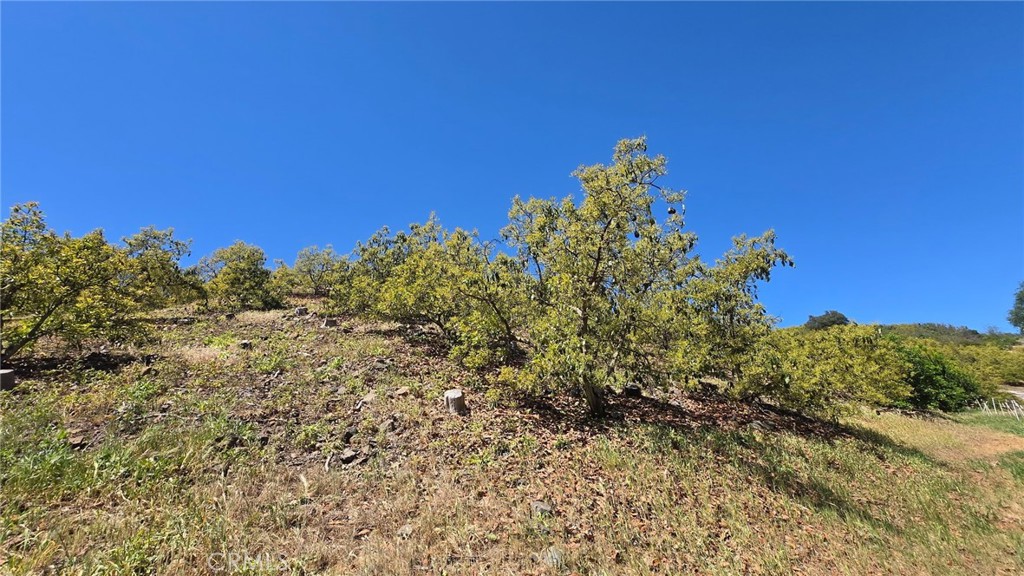 0 Vía Barranca Temecula, CA 92590 - Photo 15 of 18 a view of a tree with a yard
