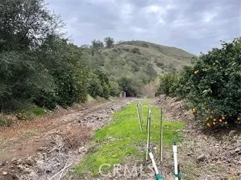 a view of a green filed