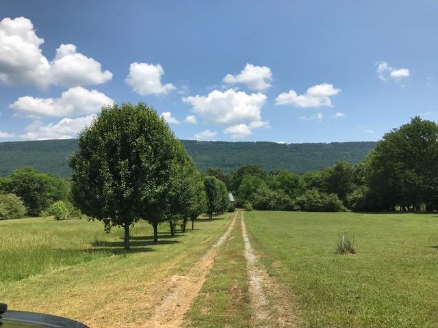 1303 Grayson Road Whitwell, TN 37397 - Photo 2 of 40 IMG_2589