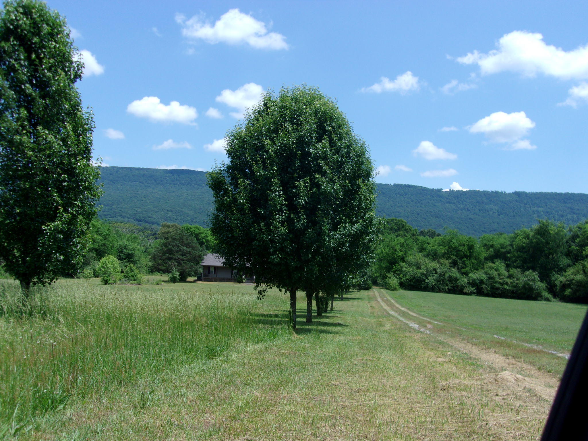 1303 Grayson Road Whitwell, TN 37397 - Photo 21 of 40 394_2504