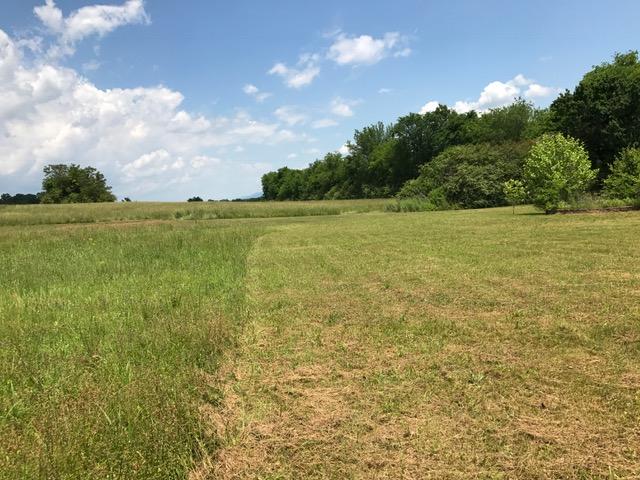1303 Grayson Road Whitwell, TN 37397 - Photo 22 of 40 IMG_2586