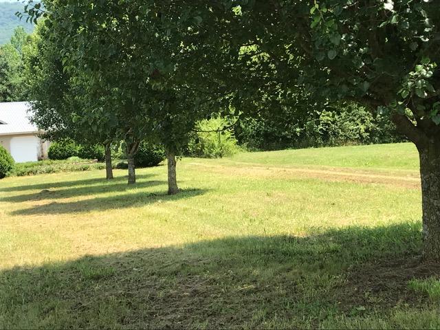 1303 Grayson Road Whitwell, TN 37397 - Photo 24 of 40 IMG_2594