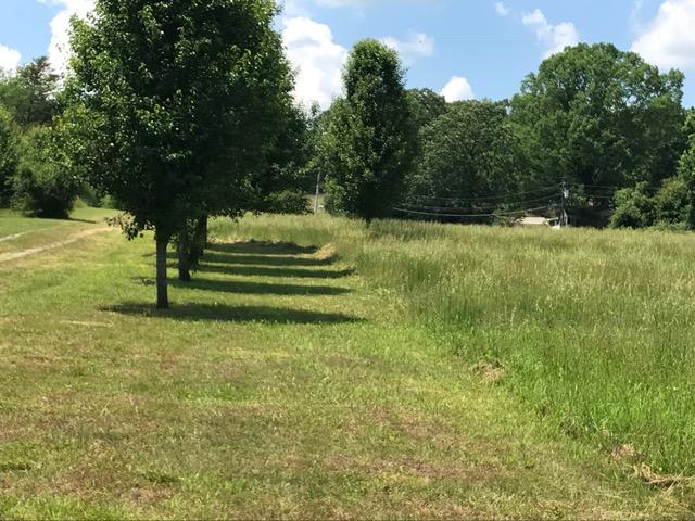 1303 Grayson Road Whitwell, TN 37397 - Photo 25 of 40 IMG_2595