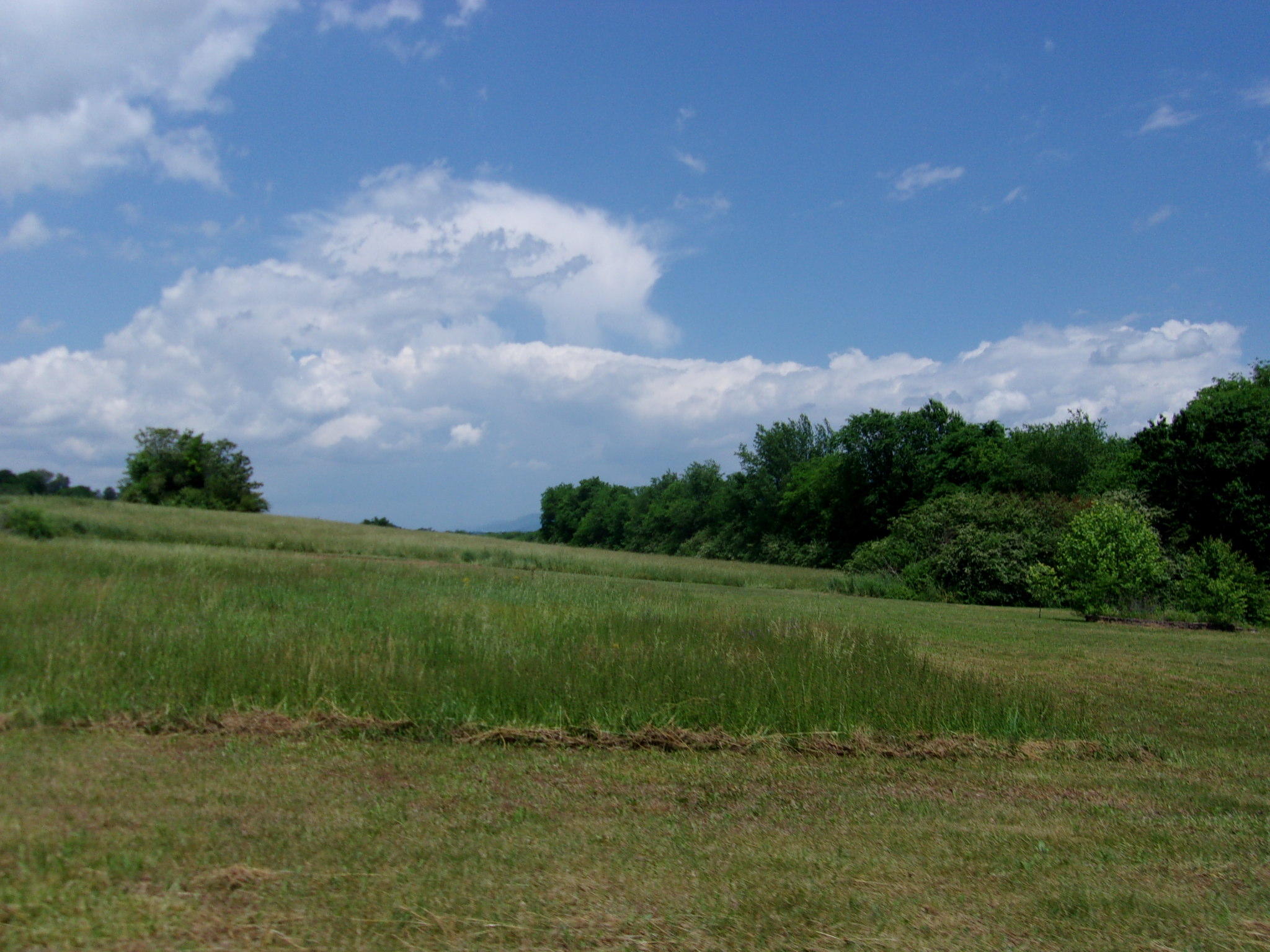 1303 Grayson Road Whitwell, TN 37397 - Photo 26 of 40 394_2503