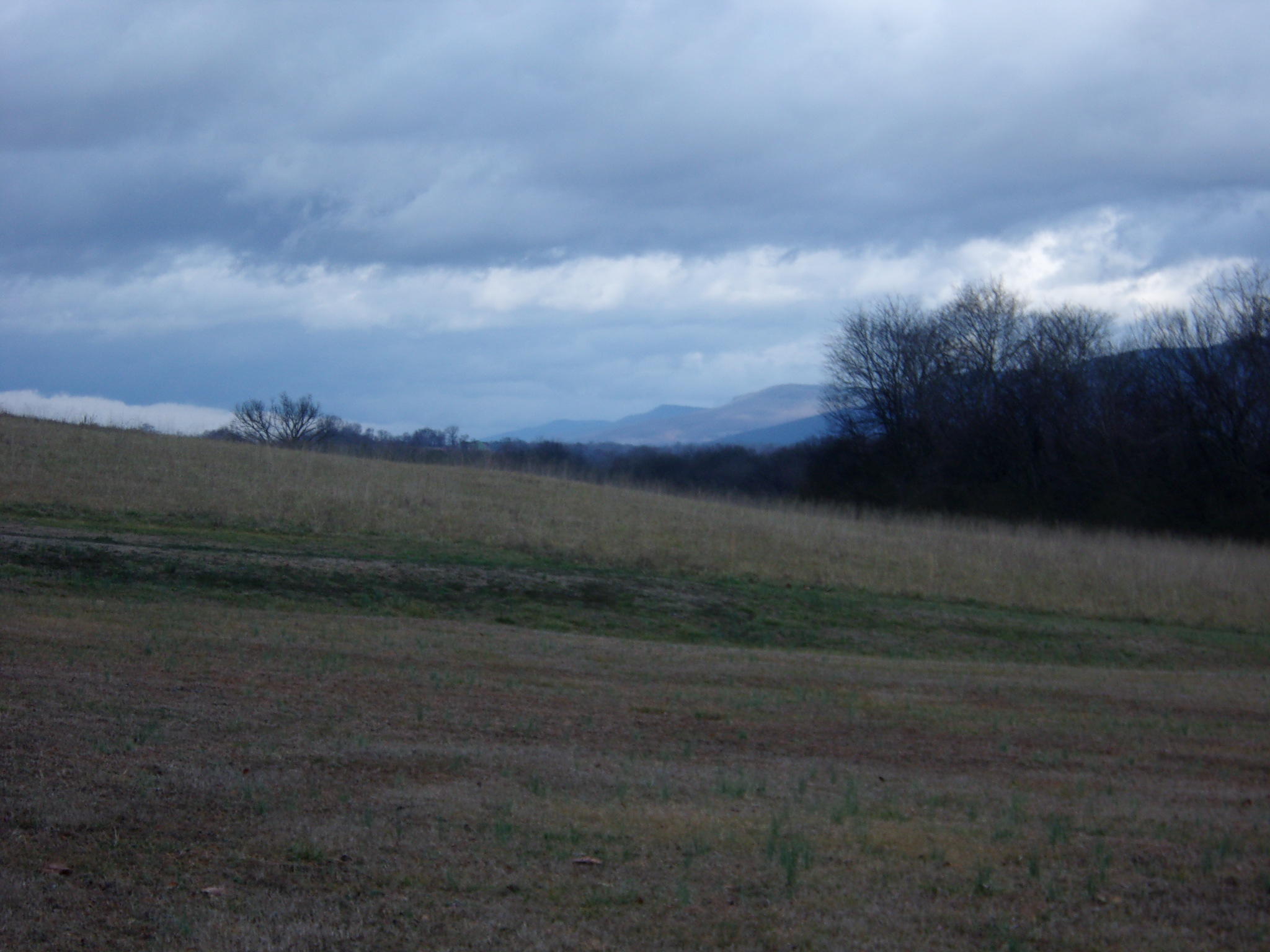 1303 Grayson Road Whitwell, TN 37397 - Photo 34 of 40 394_1471