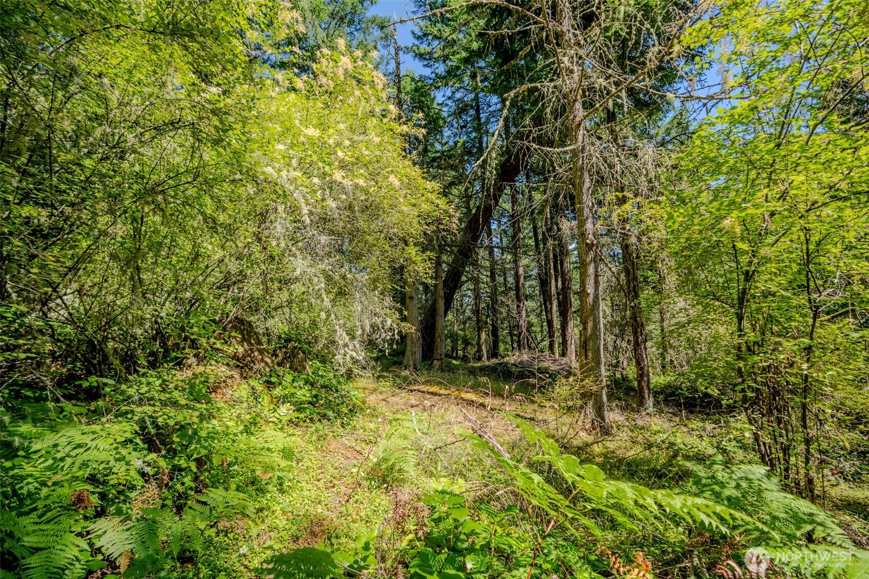 678 Swan Road Orcas Island, WA 98245 - Photo 37 of 39
