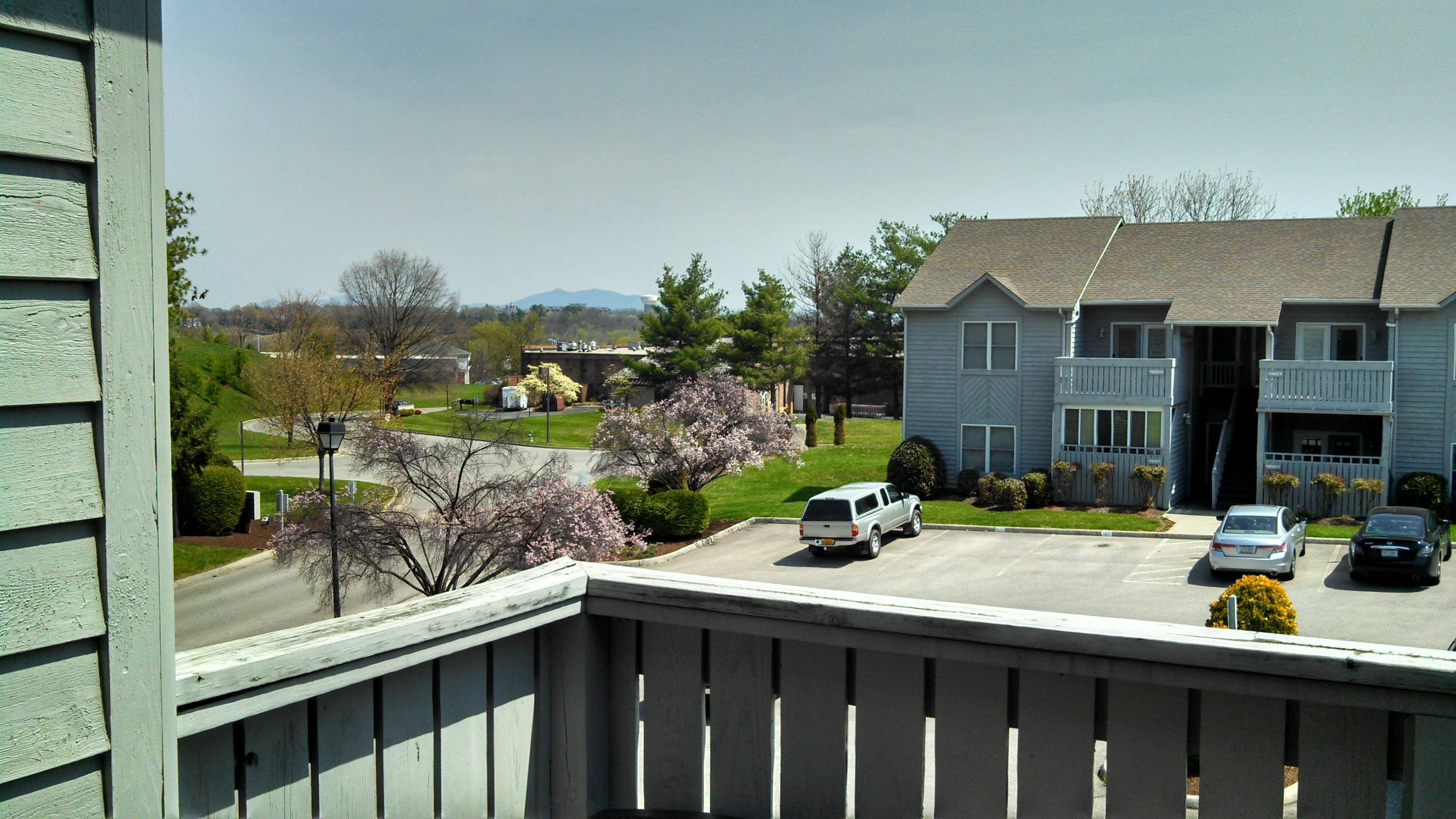 1947 South Clearing Road, Unit 24 Salem, VA 24153 - Photo 16 of 17 scenic view from patio