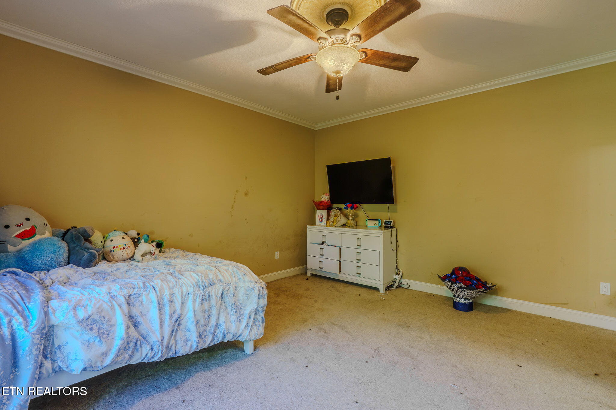 117 Cooper Road Tallassee, TN 37878 - Photo 26 of 51 24-web-or-mls-_DSC2238-HDR