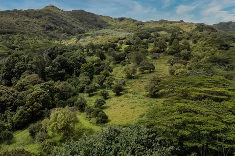 $2,395,000 | 5078 Lot 44 Kua Road, Kalaheo, HI 96741