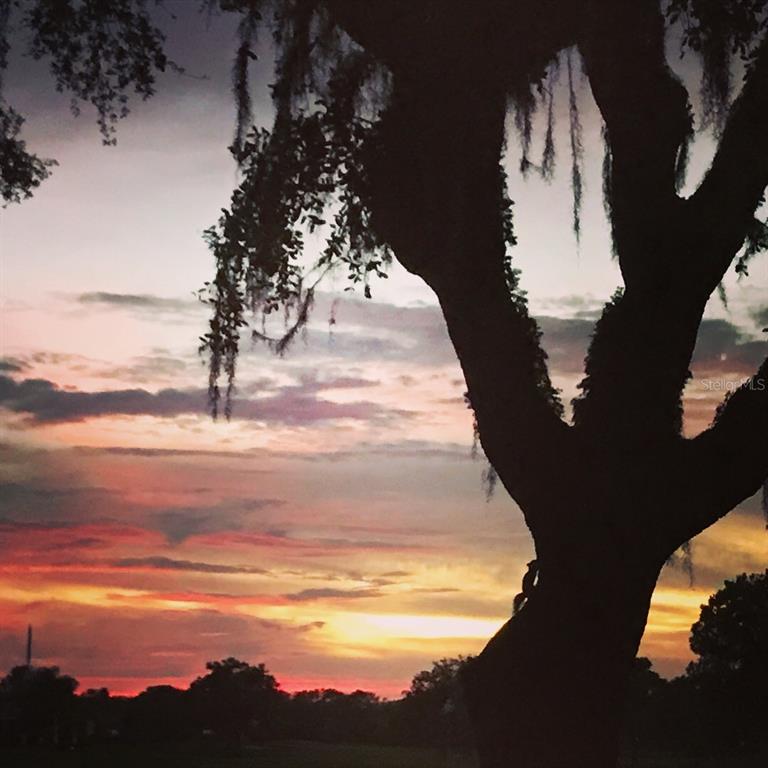 3806 Roxane Boulevard, Unit 161 Sarasota, FL 34235 - Photo 34 of 45