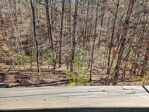 790 Monet Drive Ellijay, GA 30540 - Photo 51 of 51