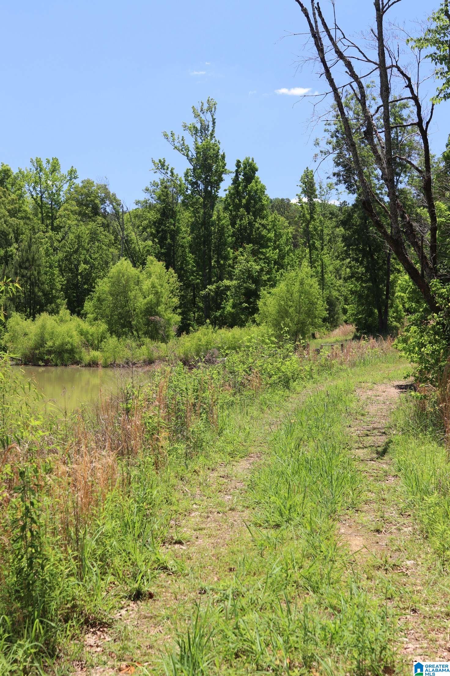 2930 Shocco Springs Road Talladega, AL 35160 - Photo 54 of 93