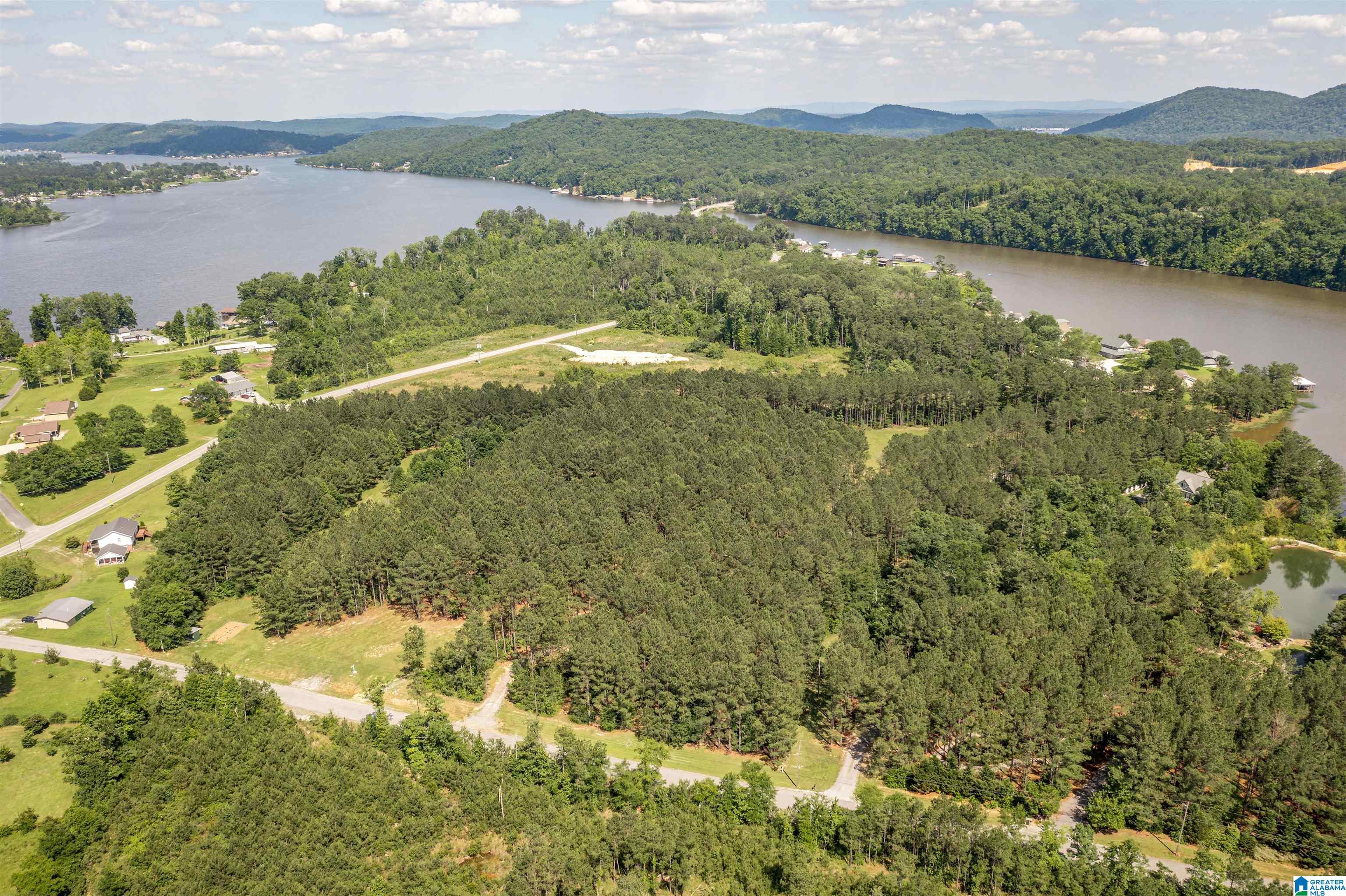 89 Golden Pond Road, Unit 9 Ashville, AL 35953 - Photo 23 of 35