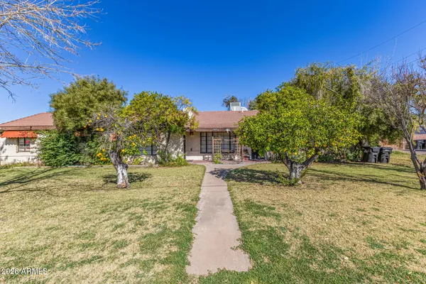 a view of a yard with plants and a trees