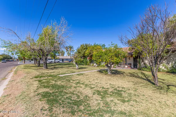 a view of yard with tree in the background