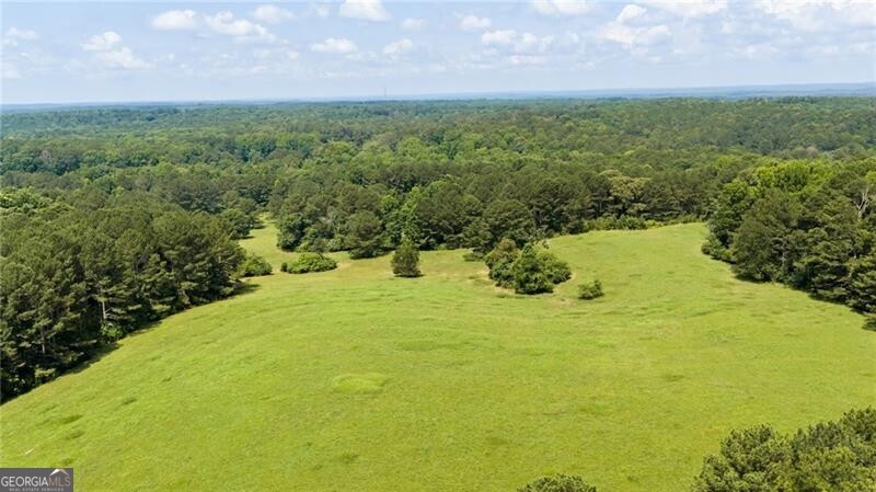 0 Capps Ferry Road Chattahoochee Hills, GA 30268 - Photo 6 of 71