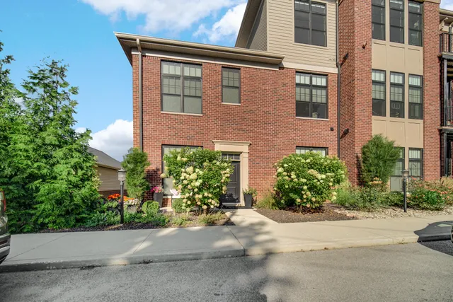 a living room filled with furniture and a potted plant