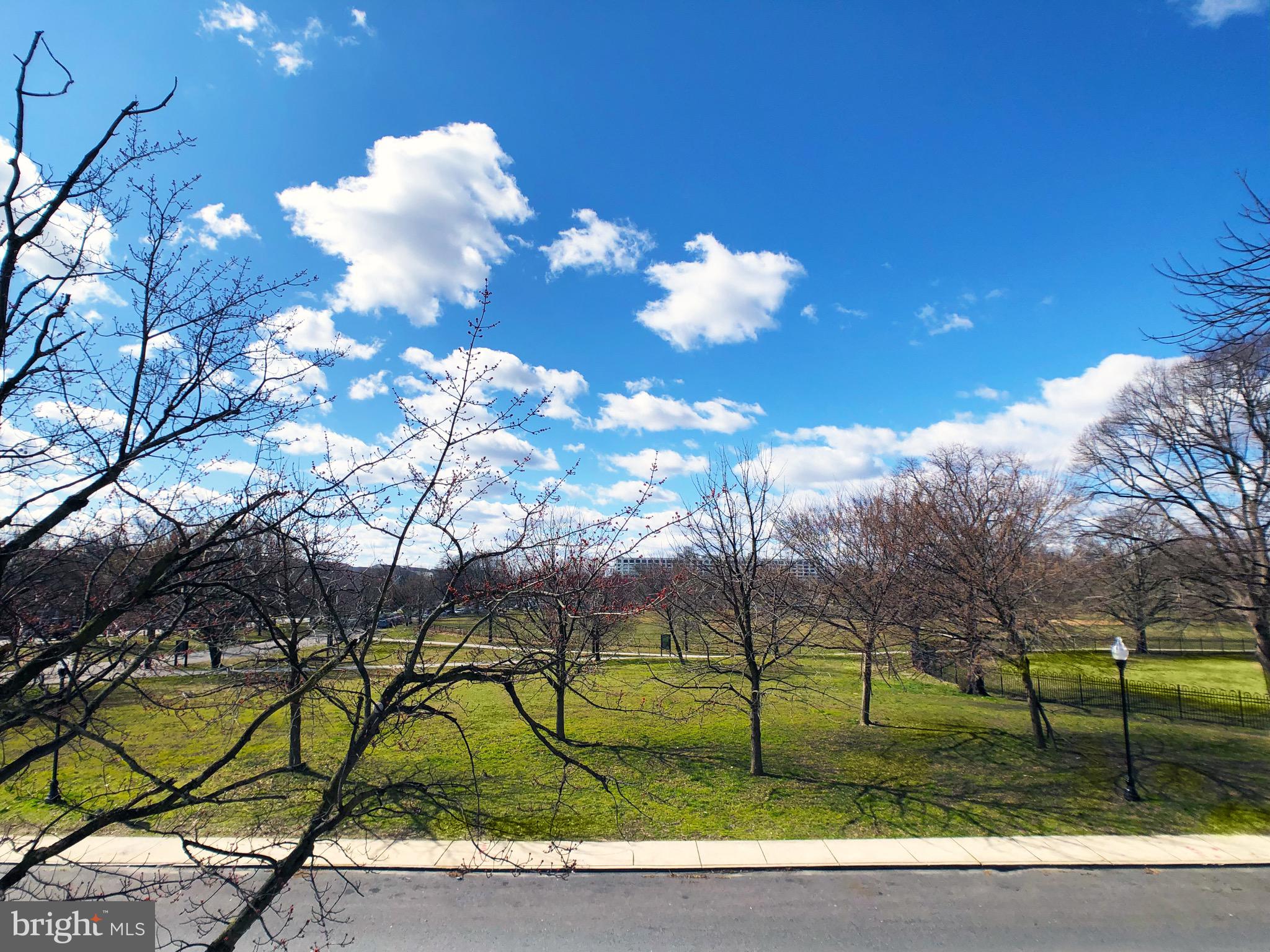 1111 Bayard Street Baltimore, MD 21223 - Photo 38 of 39 a view of a yard with a tree