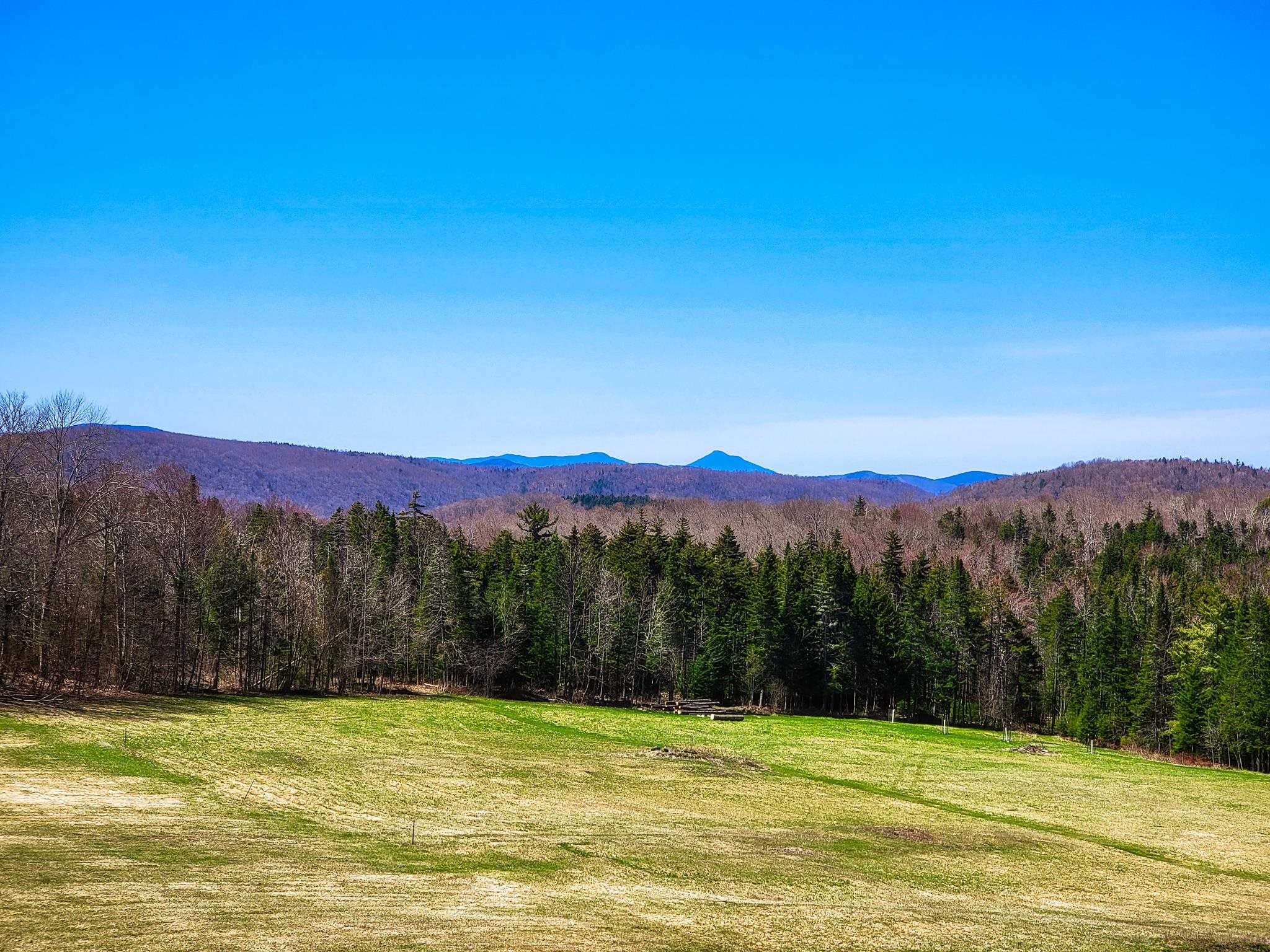 631 Lamson Pond Road Brookfield, VT 05060 - Photo 8 of 40