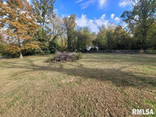 a view of a yard with a large tree
