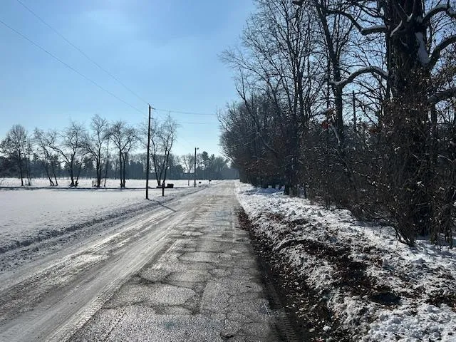 a view of road and trees