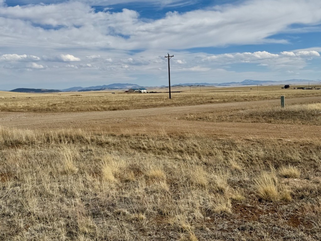 67 Black Knat Road Fairplay, CO 80440 - Photo 7 of 10 a view of an ocean