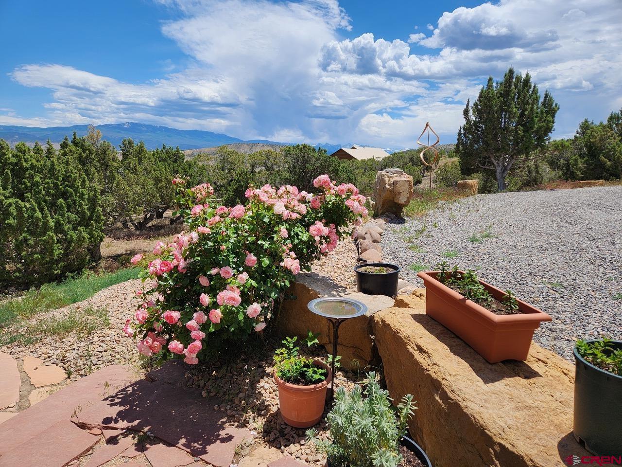 20891 Solitude Road Montrose, CO 81403 - Photo 35 of 39 a view of a yard with many potted plants