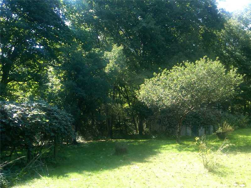 Yard/Garden. The property has grape arbors and mature plantings,  There is ample privacy at the end of a dead end street.