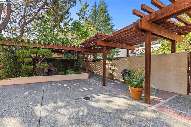 a view of a backyard with plants