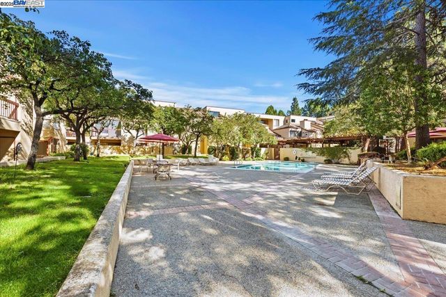 a view of a park with large trees