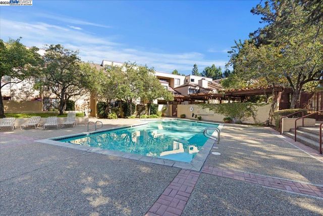 a view of a yard with plants