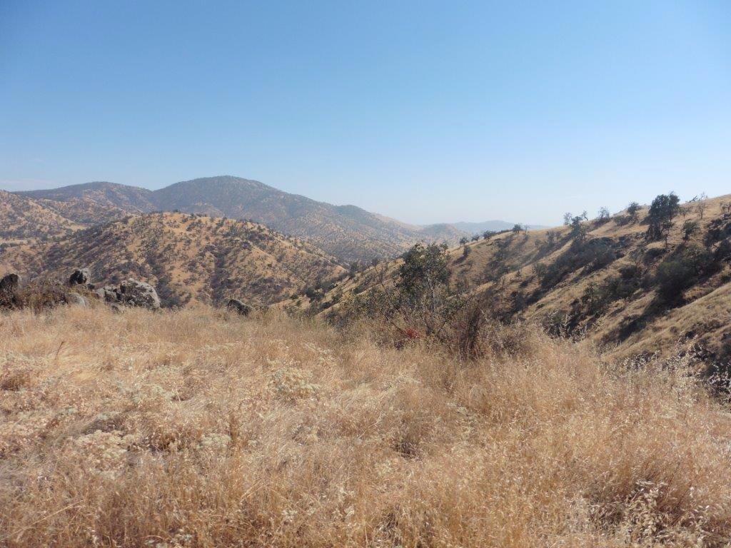 35383 George Smith Road Squaw Valley, CA 93675 - Photo 1 of 22 Gallery Image 1